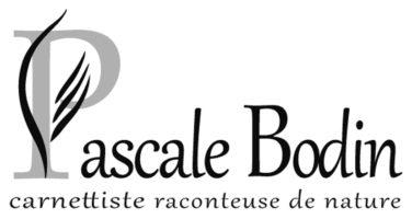 Pascale BODIN | Carnettiste raconteuse de nature