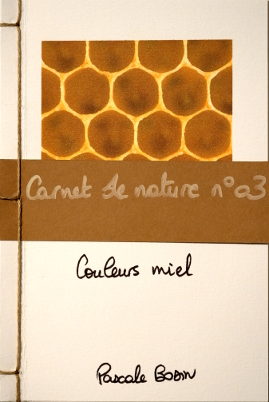 pascalebodin-carnettiste-raconteuse-de-nature-carnet-concarneau-finistere-miel-apiculture-abeille