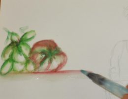 pascalebodin-animation-carnet-nature-carnettiste-pascale-bodin