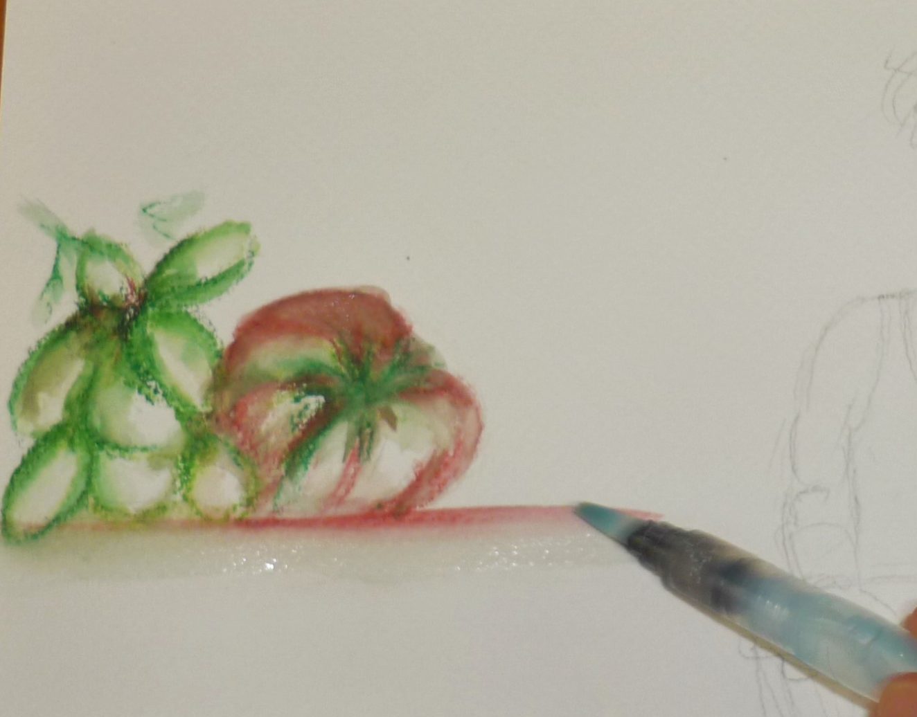 pascalebodin-animation-carnet-nature-carnettiste-pascale-bodin