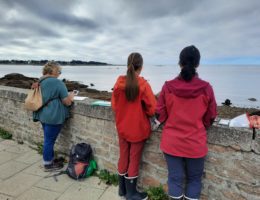 pascale_bodin_carnettiste_animation_carnet_concarneau