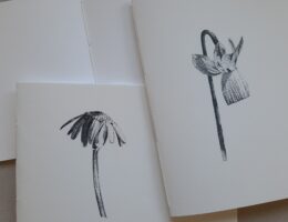 pascale-bodin-carnettiste-cahier-fleur
